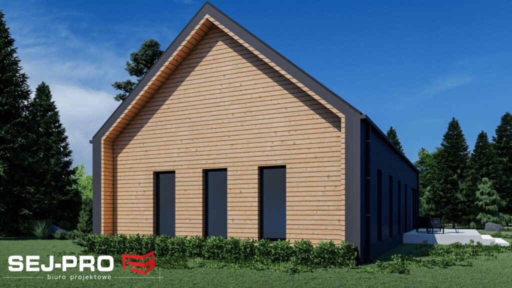 Projekt domu SEJ-PRO 058 ENERGO, wizualizacja 3
