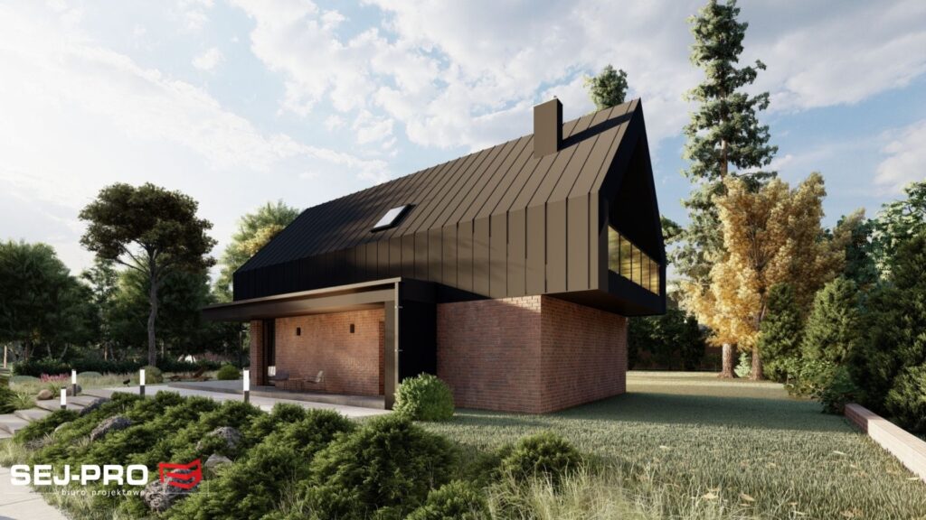 Projekt domu SEJ-PRO 072/2 ENERGO, wizualizacja 3
